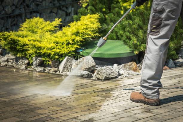 Best Animal Enclosure Cleaning  in West Park, CA